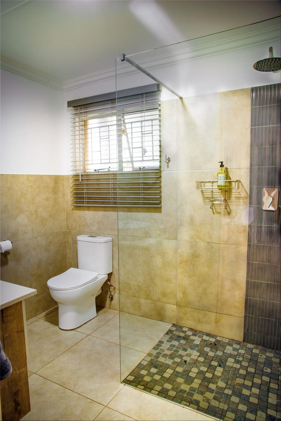 Brewster Apartment in South Africa