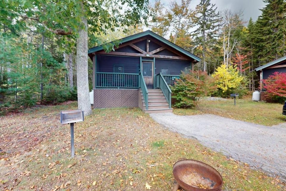 Property building, Day, Garden