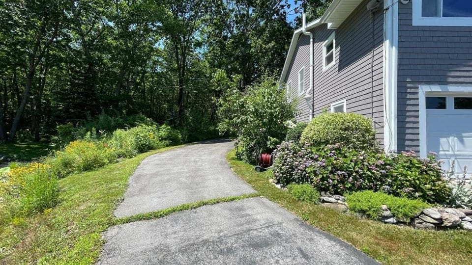 Property building, Day, Garden