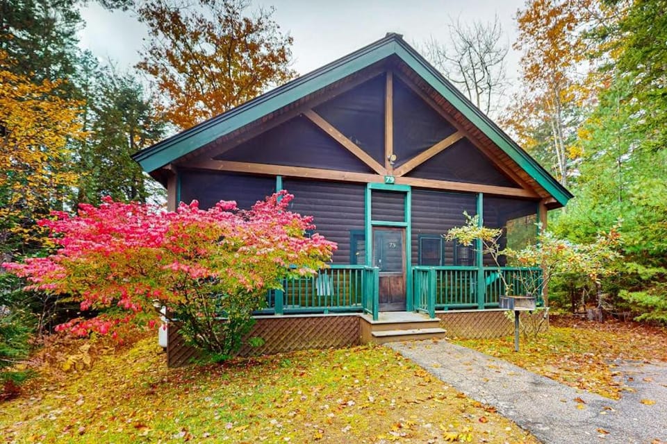 Property building, Day, Garden