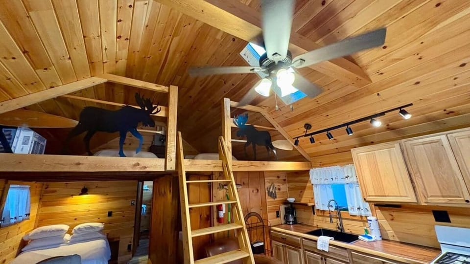 Bed, Kitchen or kitchenette, Photo of the whole room, Bedroom