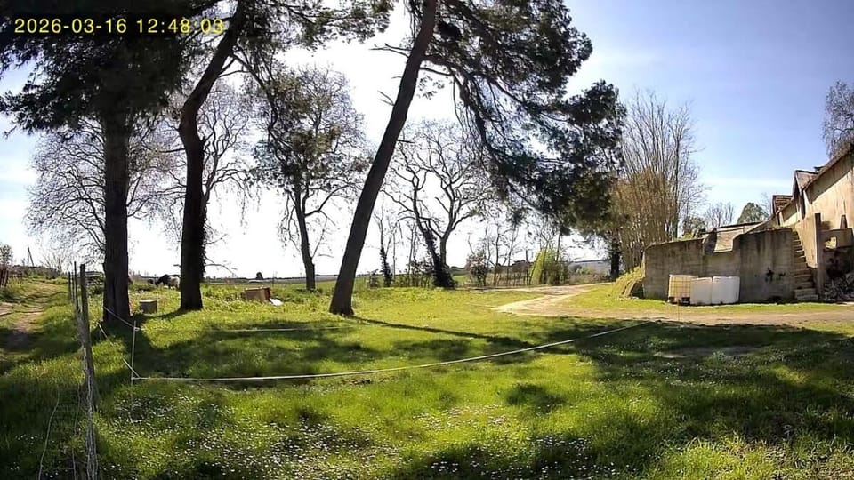 Le Cocon de Roquelande equestrian boarding house House in Occitanie