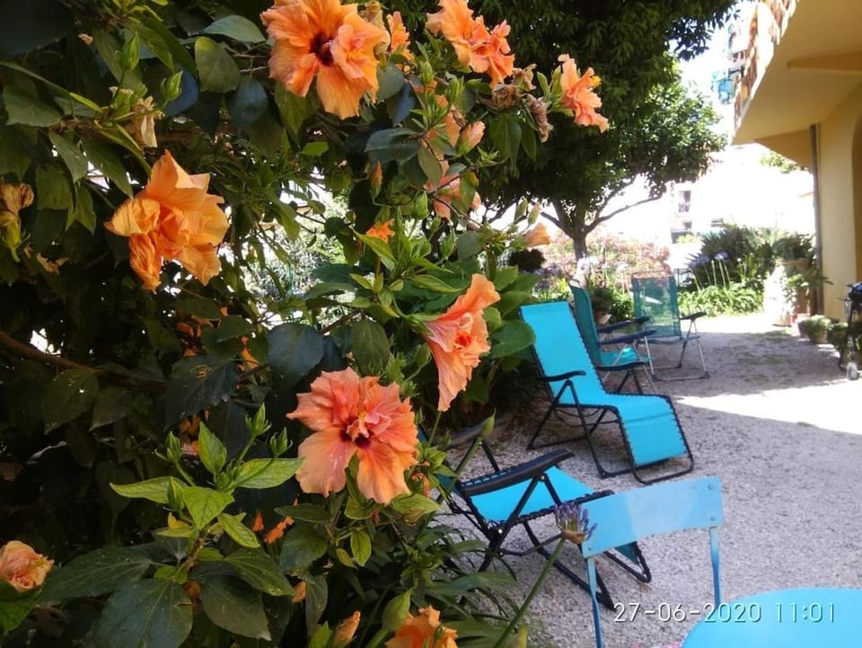 Duplex Oasis avec Jardin dans Vieille Ville Apartment in Menton