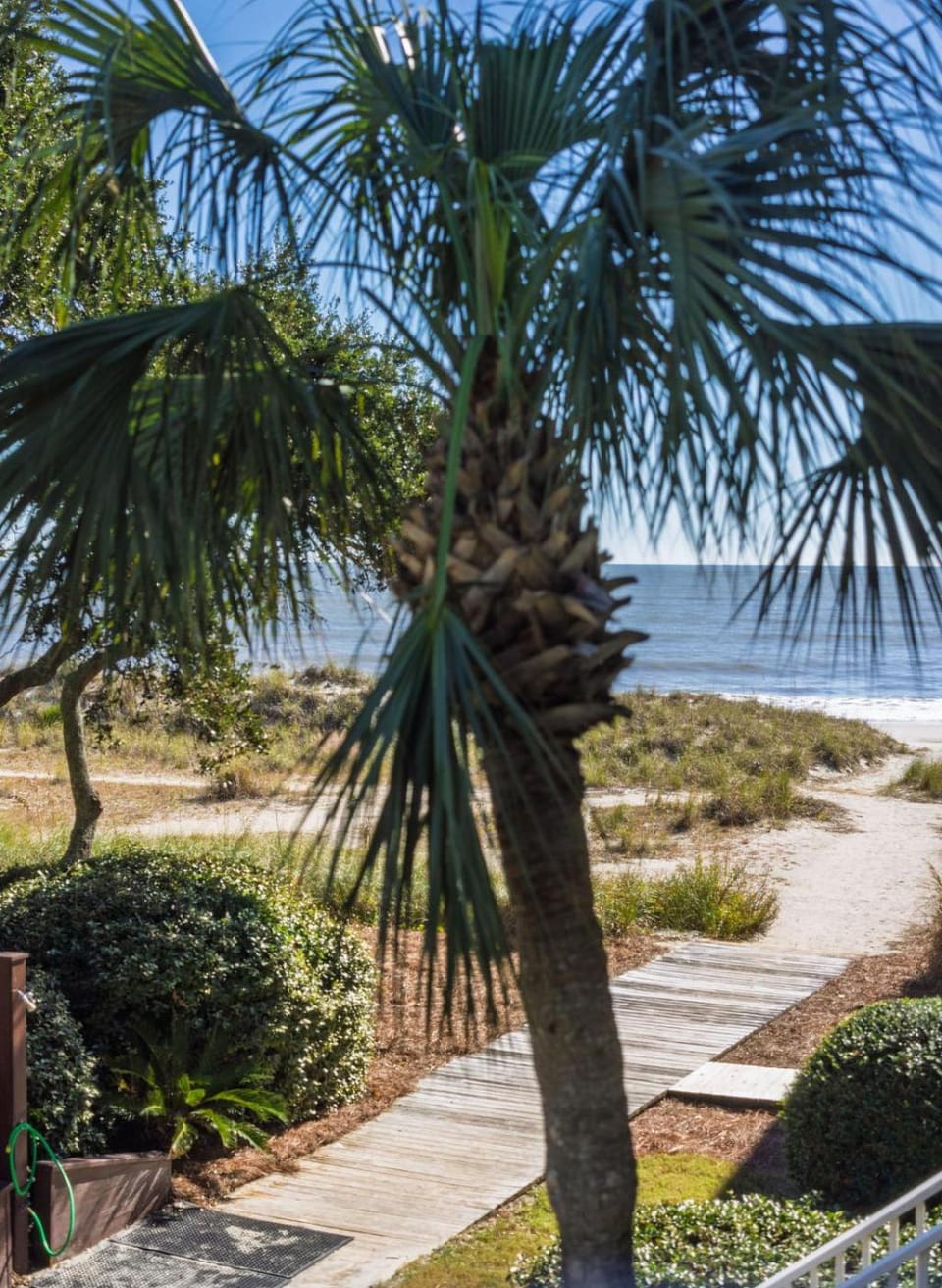 Port O Call C202 - Isle Be Back Apartment in Wild Dunes