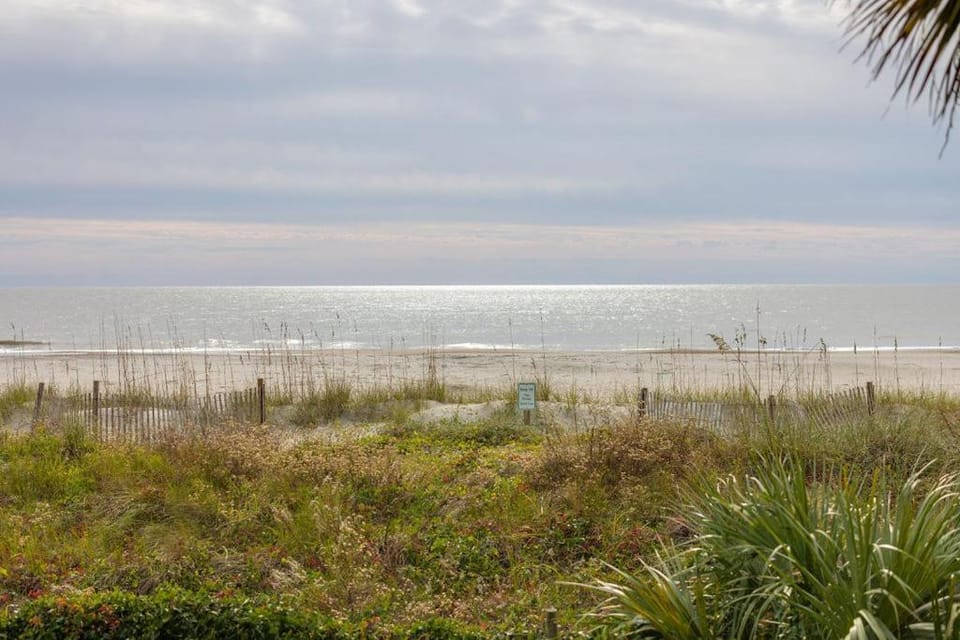 Seagrove Villas 10A - The Lily Pad Apartment in Wild Dunes