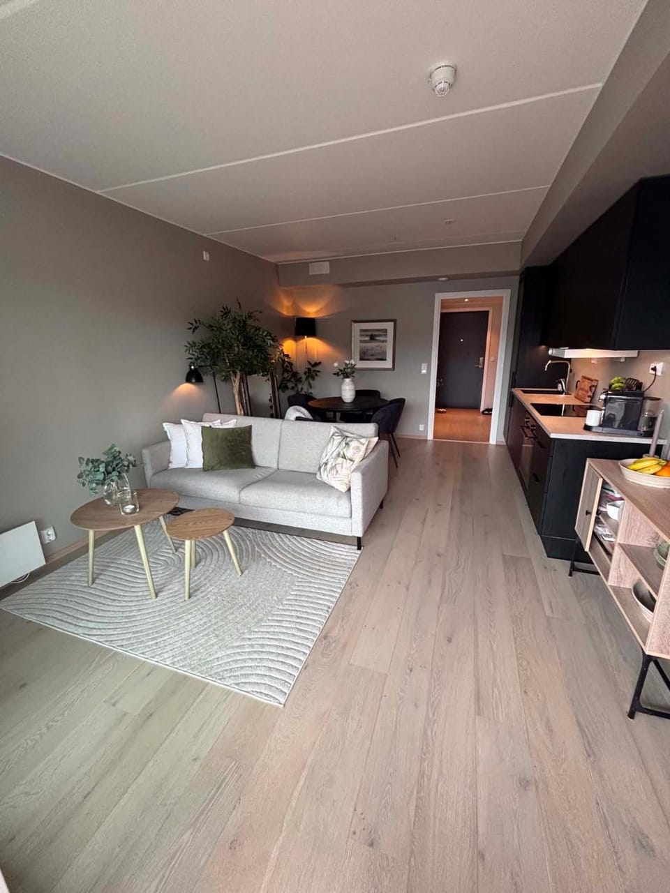 Bright, stylish apartment with a sunny balcony close to nature Apartment in Oslo