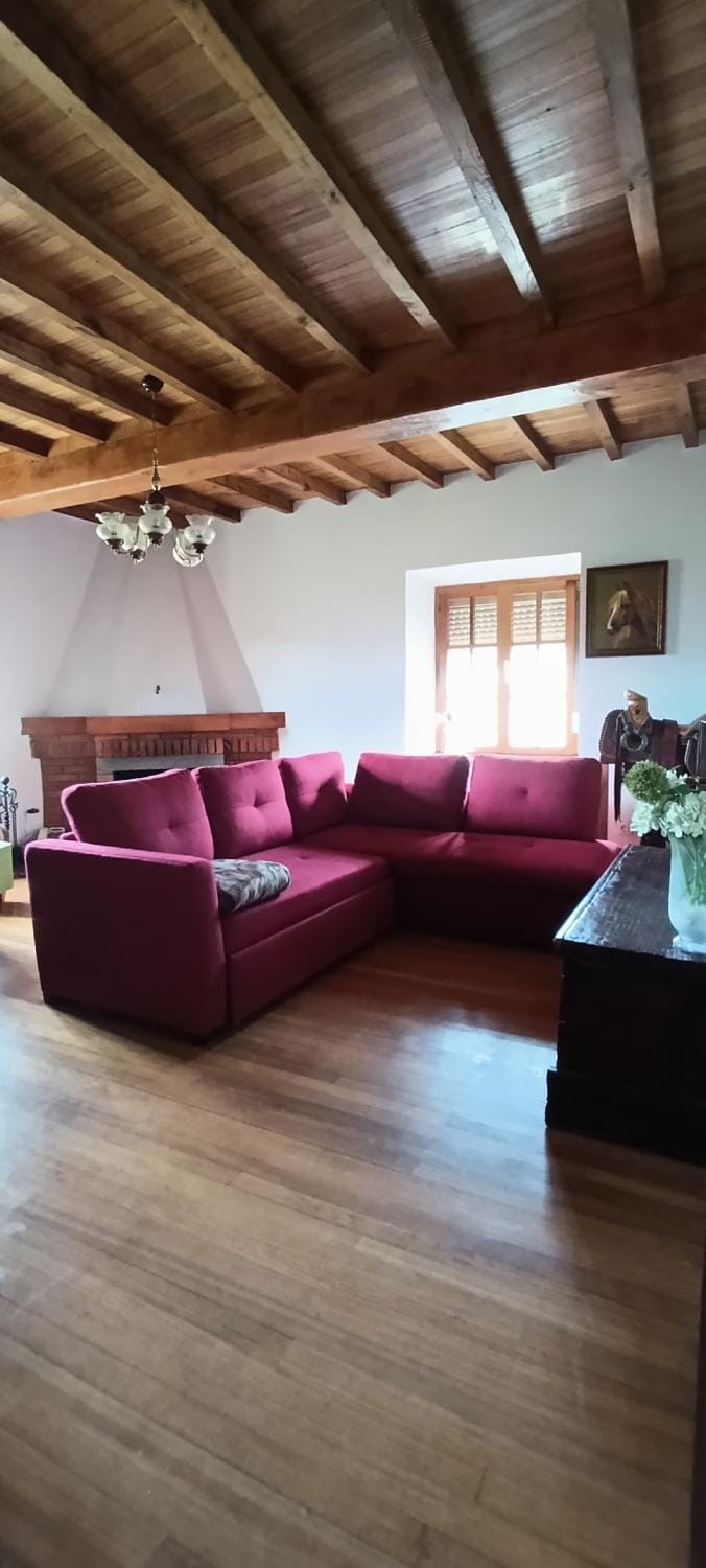 Living room, Seating area, Garden view, fireplace, heating