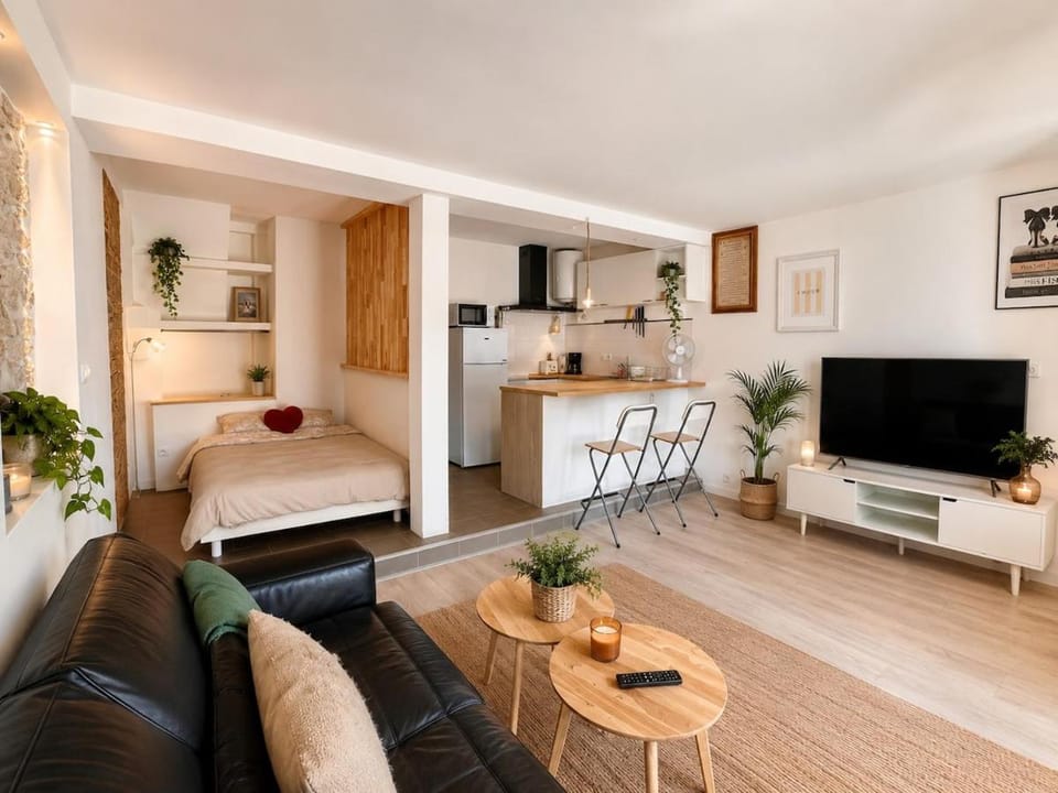 Cozy loft, Loire et chateaux Apartment in Centre-Val de Loire