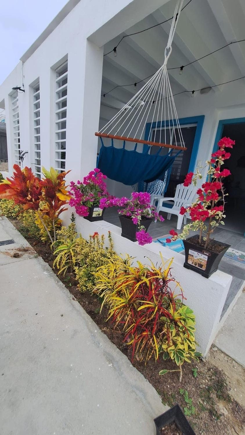 Garden, Balcony/Terrace