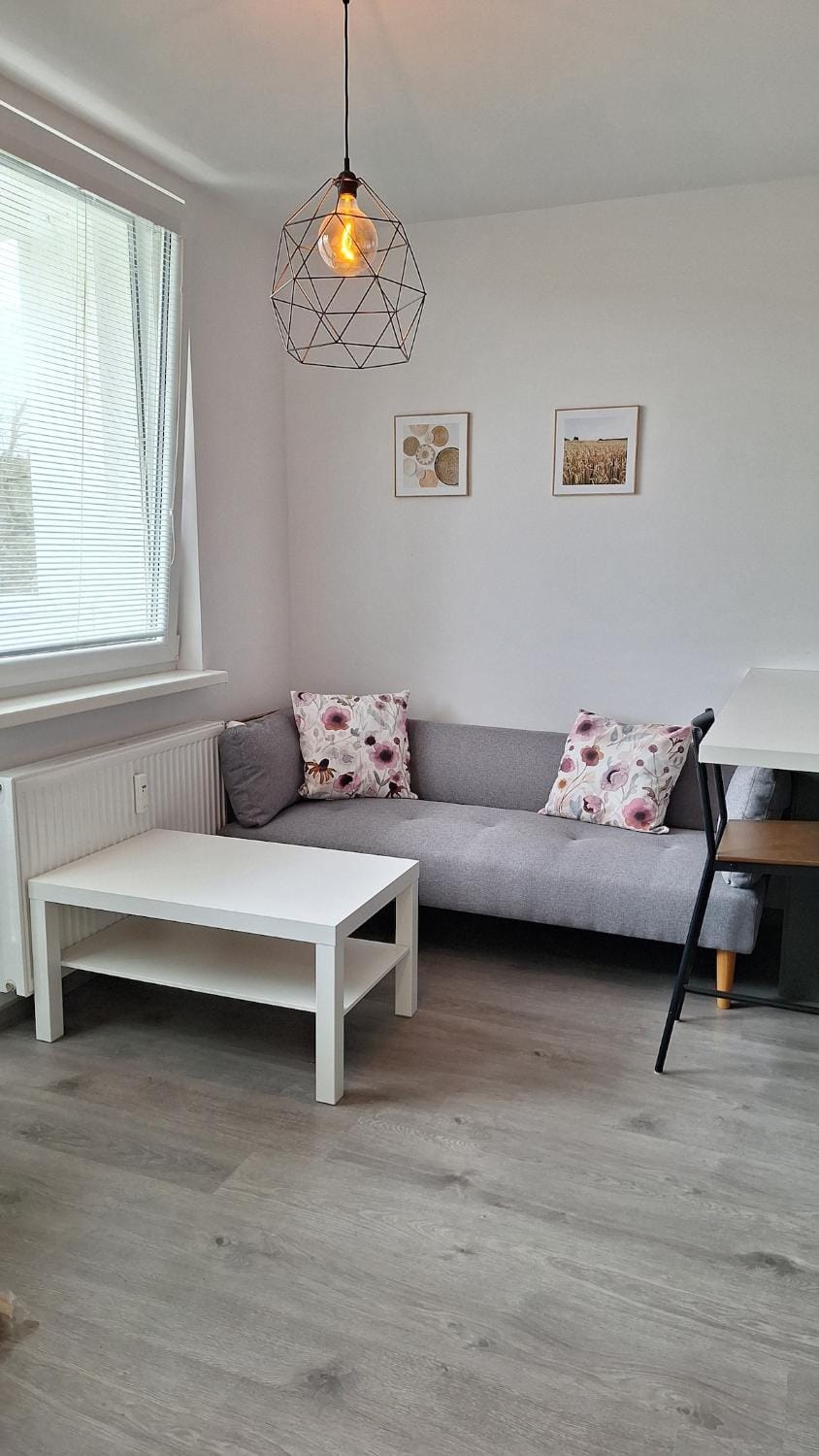 Bed, Living room, Photo of the whole room, Seating area