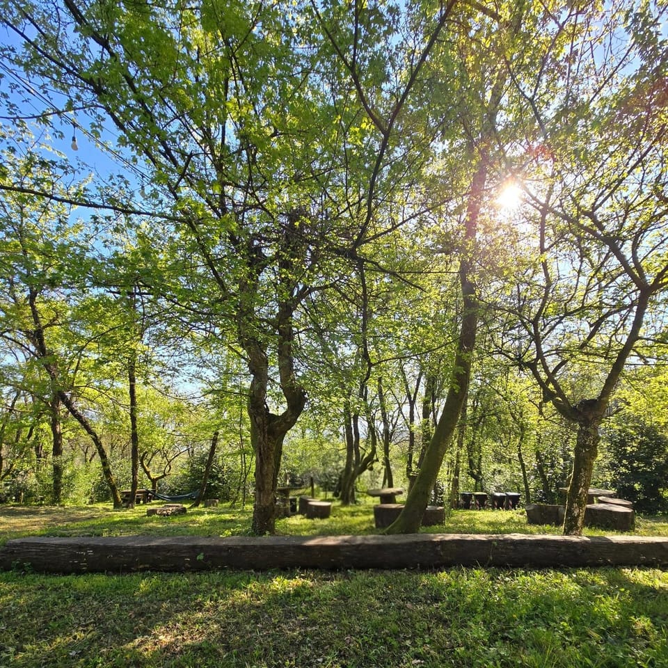 Agricampeggio Ervira Campground/ 
RV Resort in Tuscany