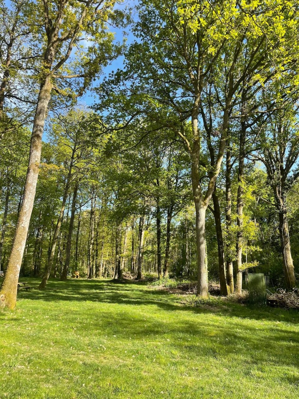 Cabane en forêt House in Centre-Val de Loire