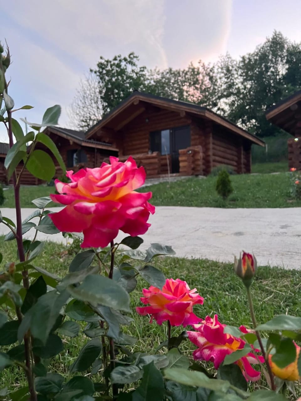 Cabanutele M&V INFINIT Nature lodge in Romania