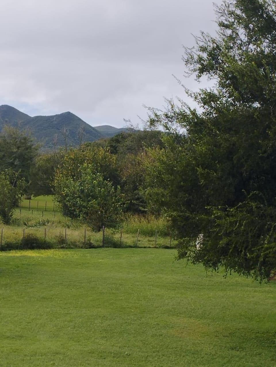 Natural landscape
