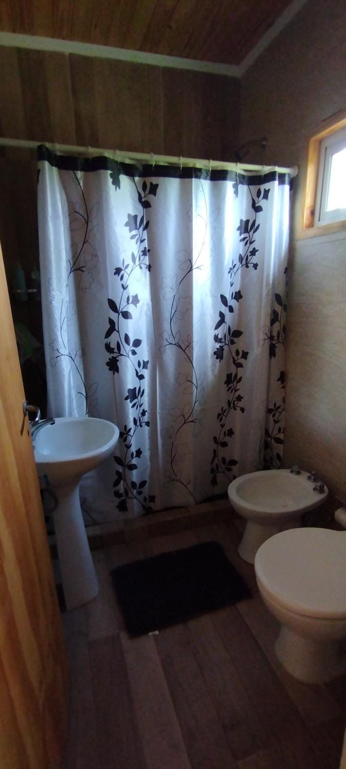 Shower, Toilet, Bathroom, bidet