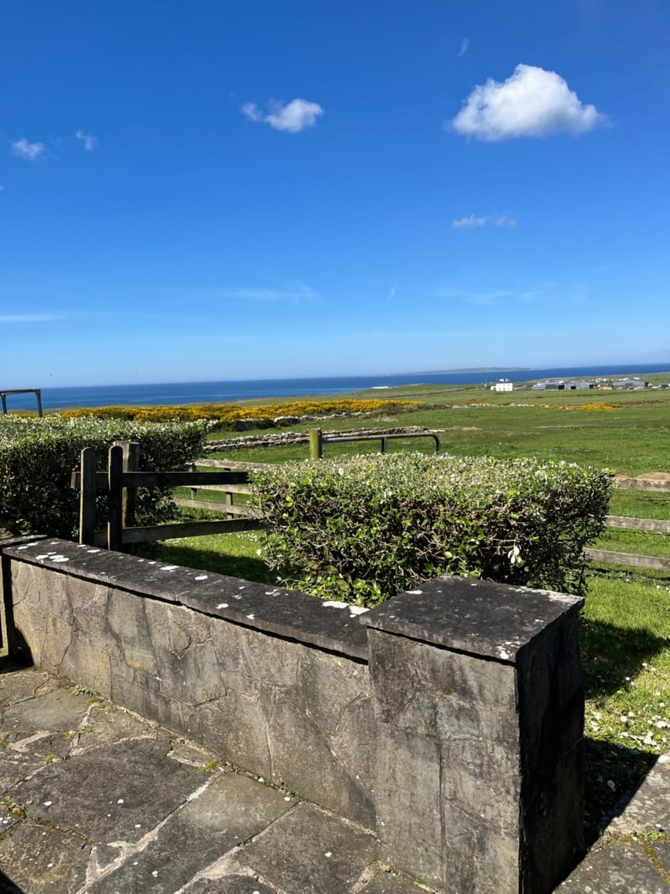Garden, Sea view