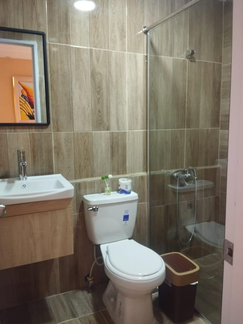 El palomar Apartment in Santiago de los Caballeros