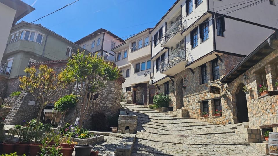 Day, Neighbourhood, Quiet street view