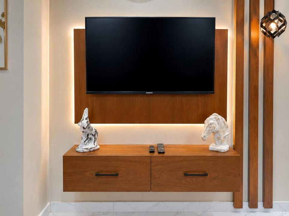 TV and multimedia