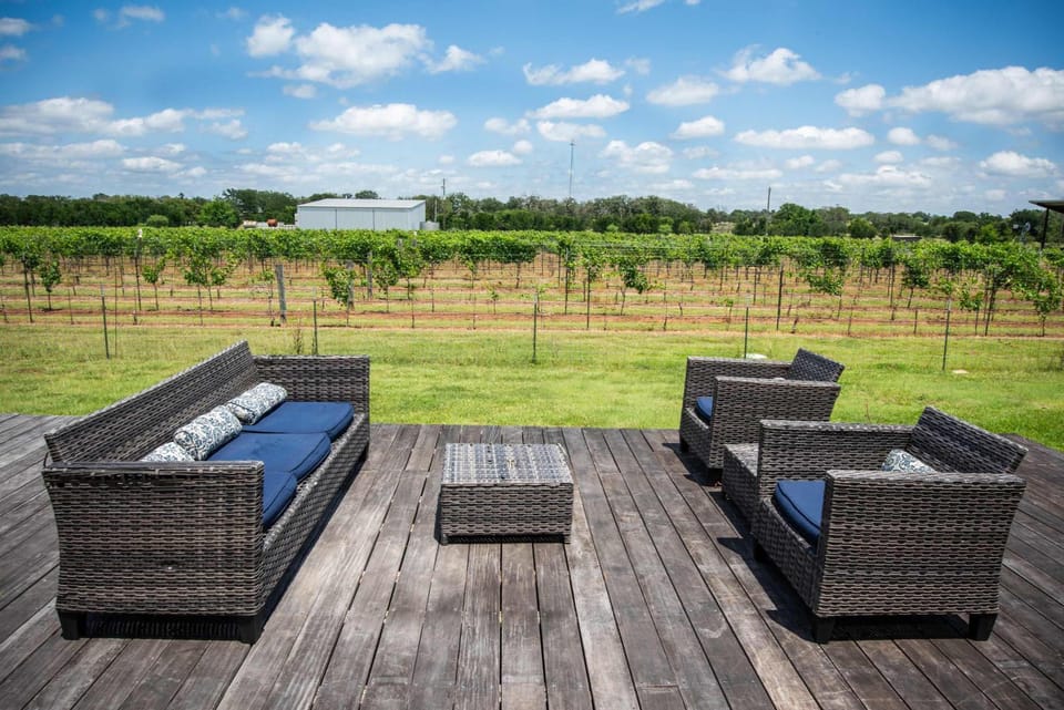 Hilmy Cellars Haus On Vineyard House in Texas