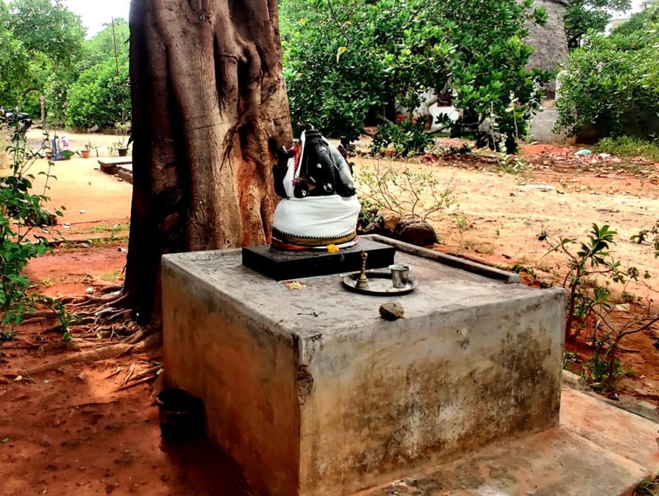 Nature Nest In Bed and Breakfast in Tamil Nadu