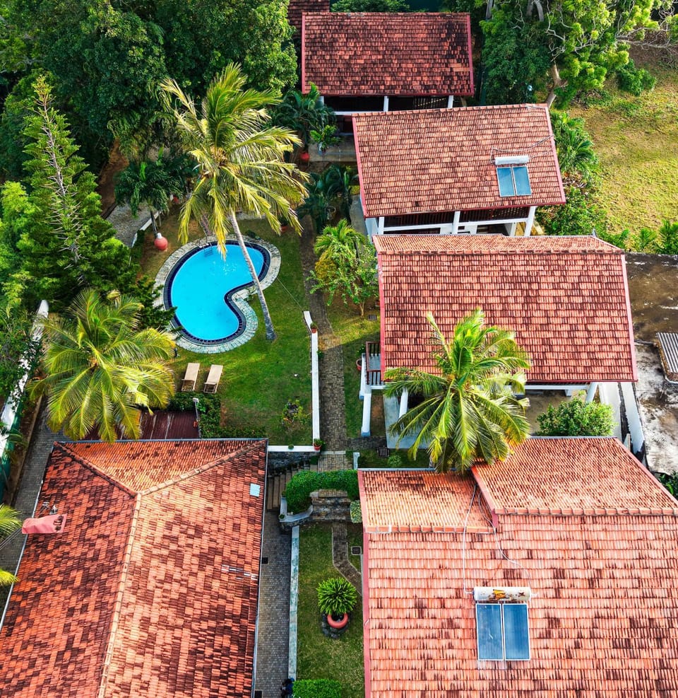 Bird's eye view, Garden, Garden view, Swimming pool