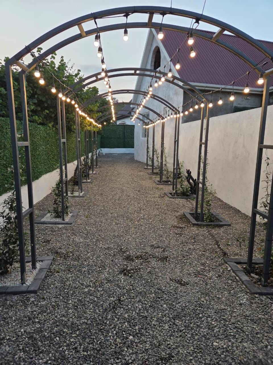 Activities, Garden