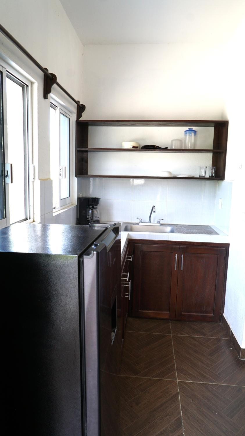 Kitchen or kitchenette, kitchen