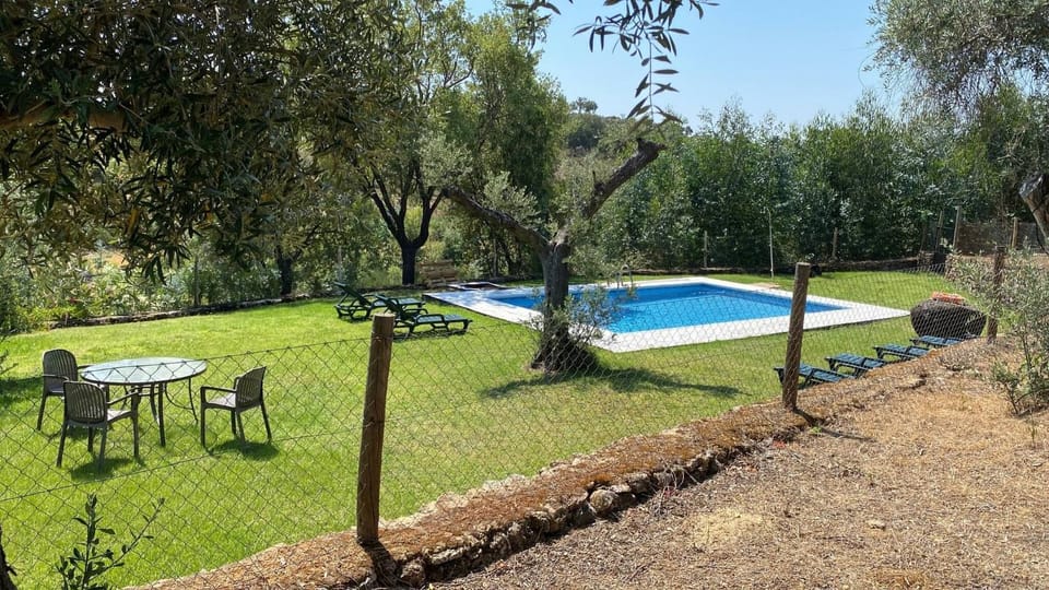 Garden, Swimming pool