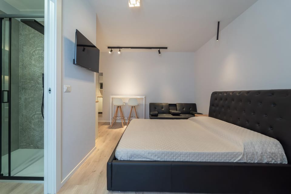 Shower, Bed, TV and multimedia, Bedroom