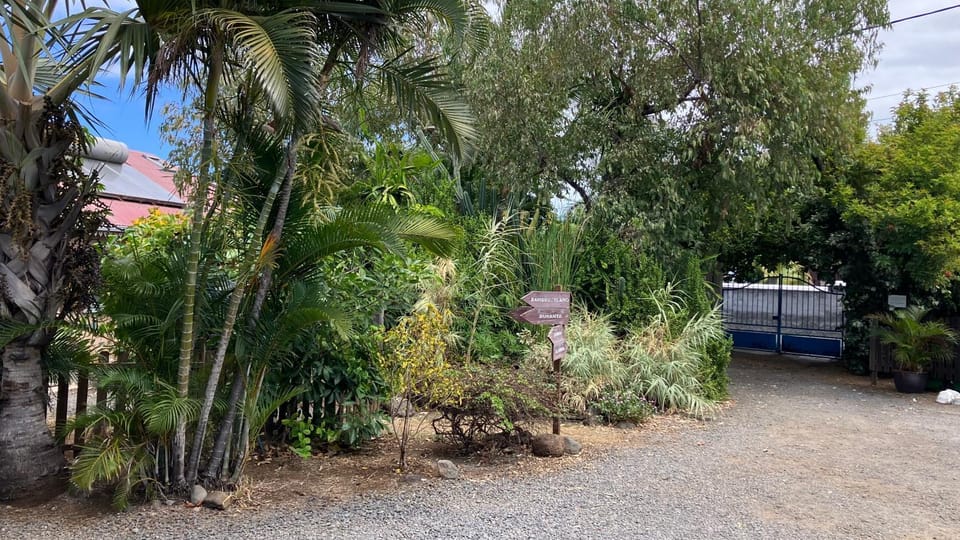 Garden, Garden view