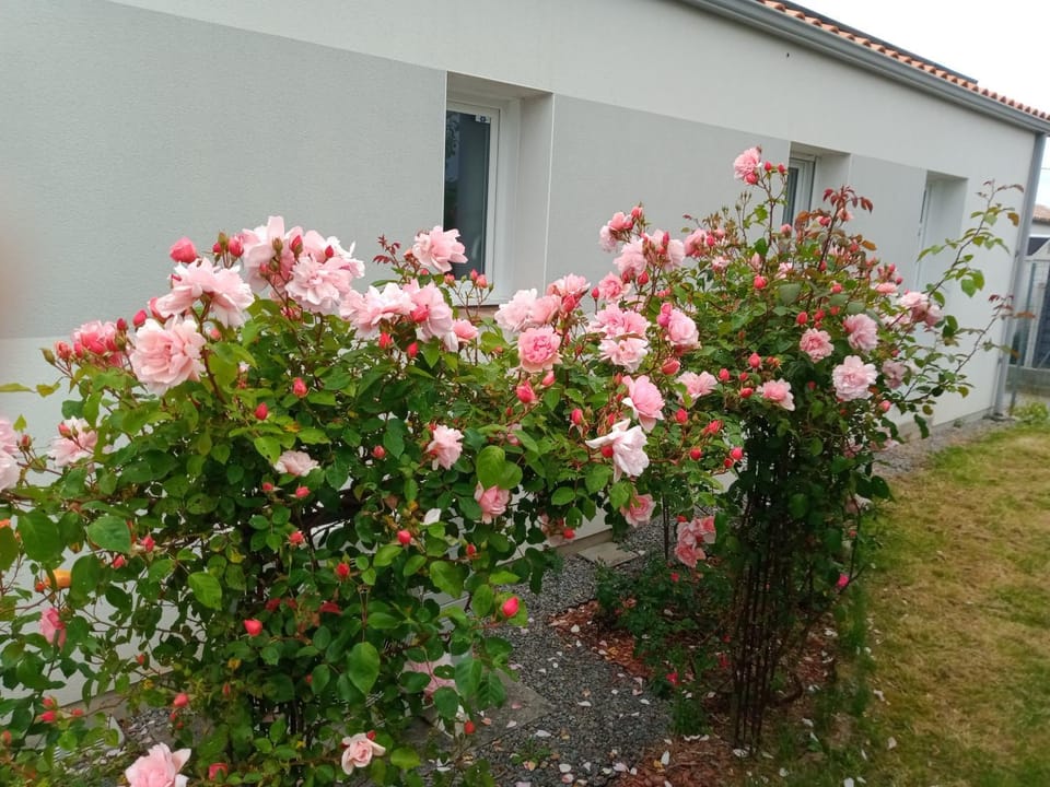 La case de l'hérison Apartment in Pornic