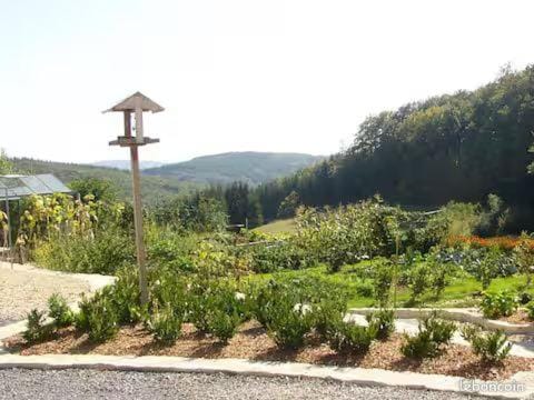 Caillé Bas en Haut-Languedoc House in Occitanie