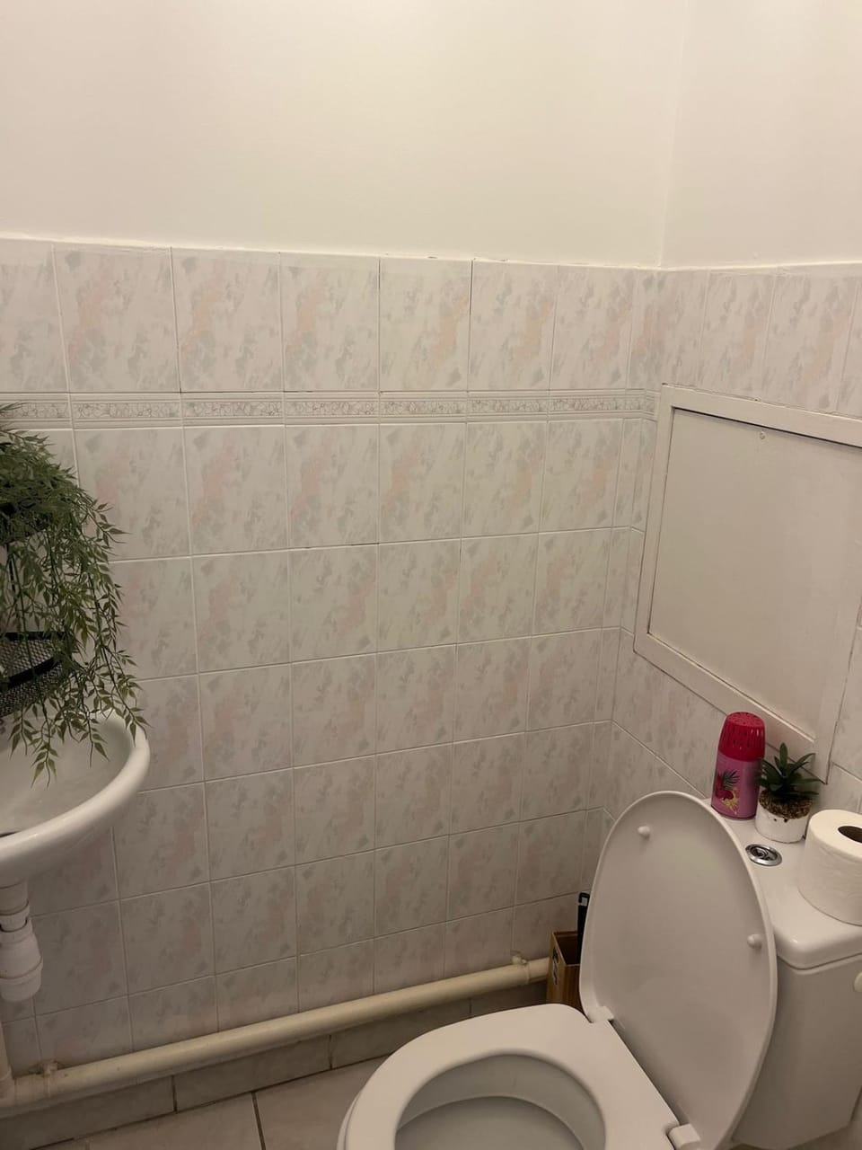 Large cozy apartment and good location in Grenoble Apartment in Grenoble
