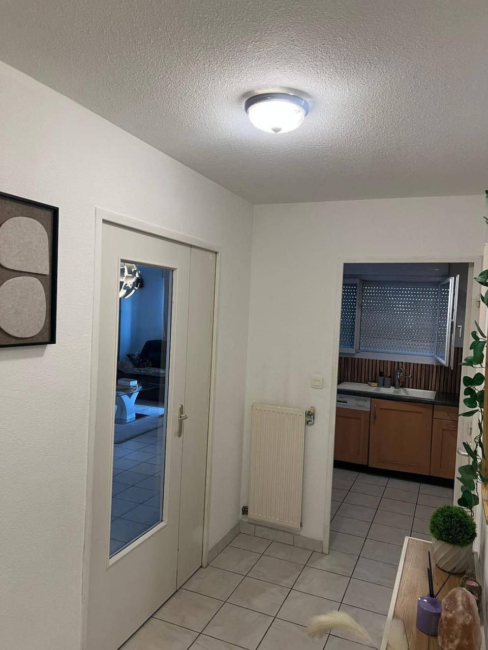 Large cozy apartment and good location in Grenoble Apartment in Grenoble
