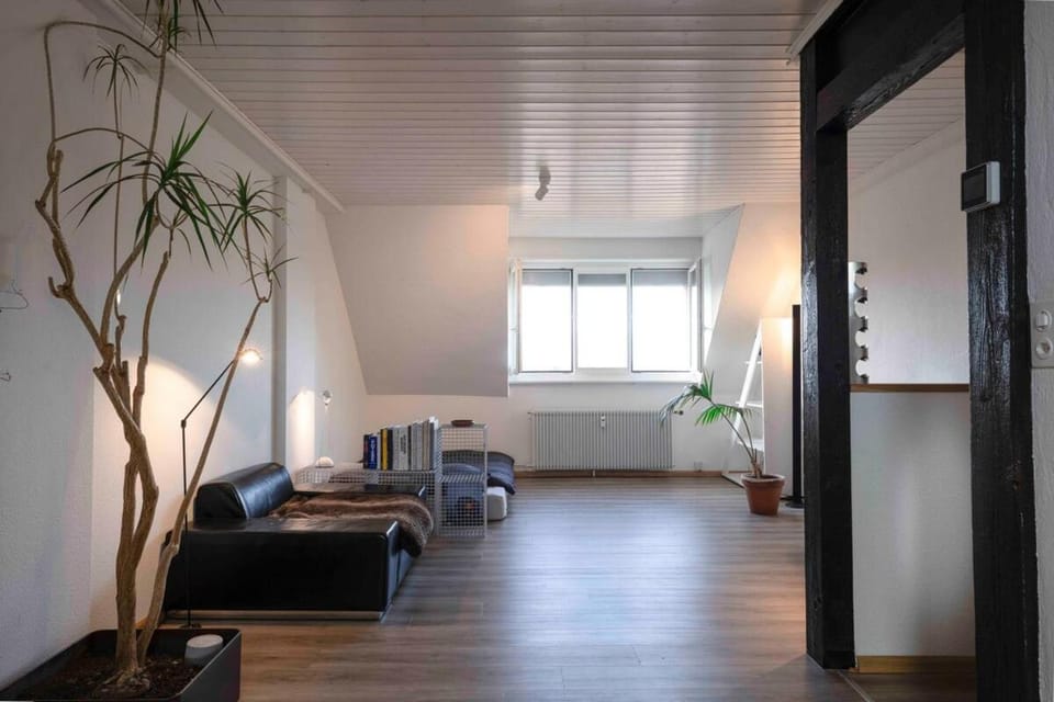 Loft Of an Architect Apartment in Weil am Rhein