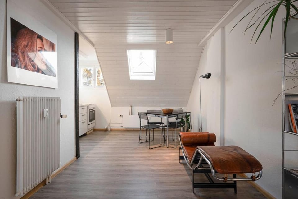 Loft Of an Architect Apartment in Weil am Rhein