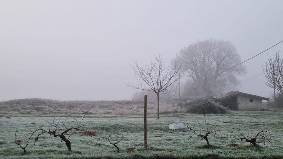 Natural landscape, Winter