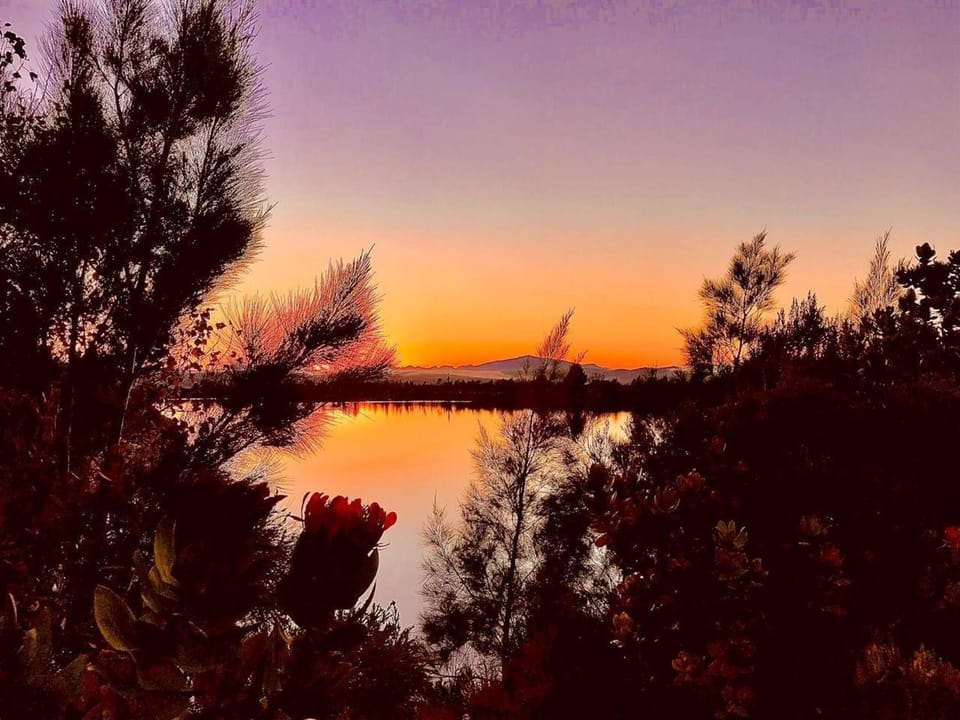 Sunrise, Sunset