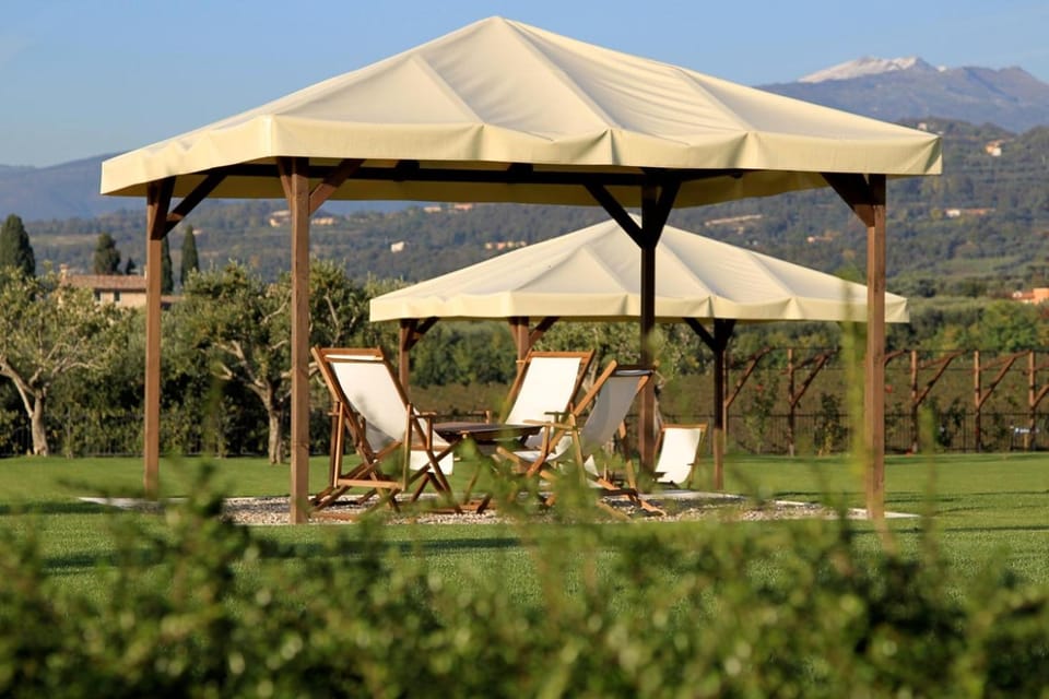 Patio, Garden, sunbed