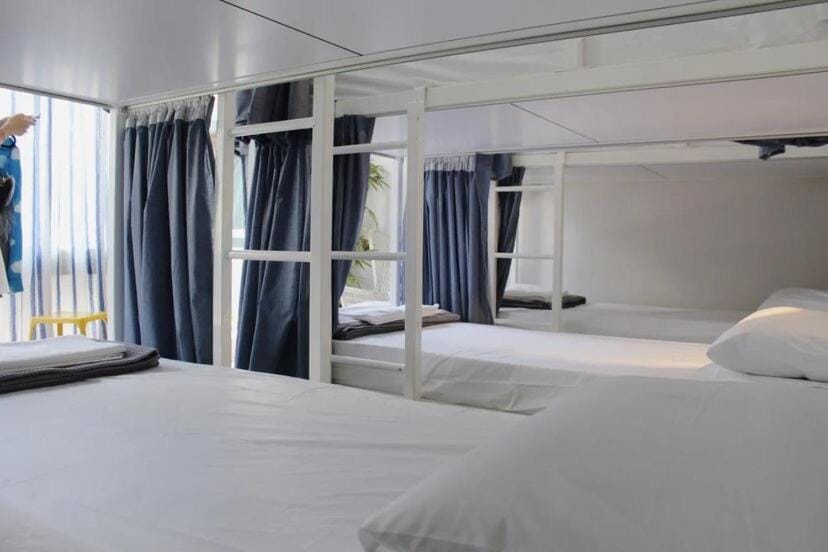 Bed, Photo of the whole room, Bedroom, bunk bed