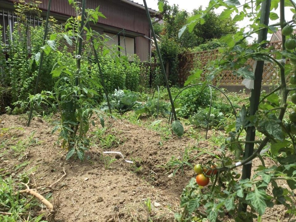 オレンジ荘Homestay Vacation rental in Chiba Prefecture