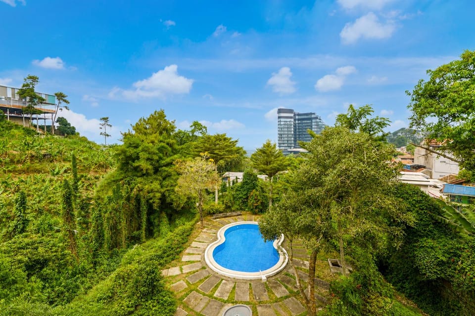 Area and facilities, Swimming pool