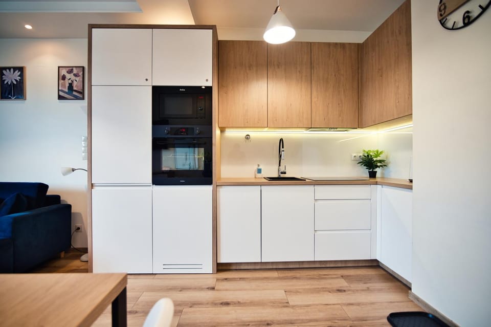 Kitchen or kitchenette, Living room, Seating area, Dining area, stove
