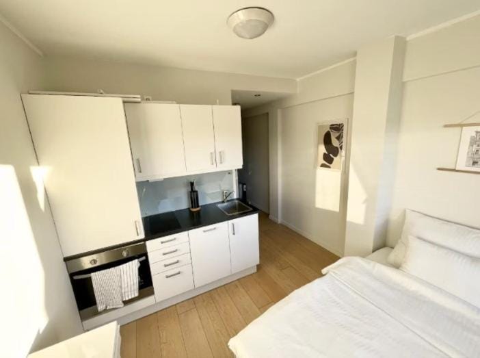 Cosy Studio with balcony Apartment in Oslo