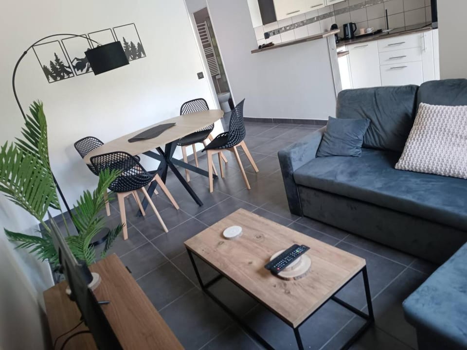 Bright apartment, terrace, garden and parking Apartment in Haute-Savoie