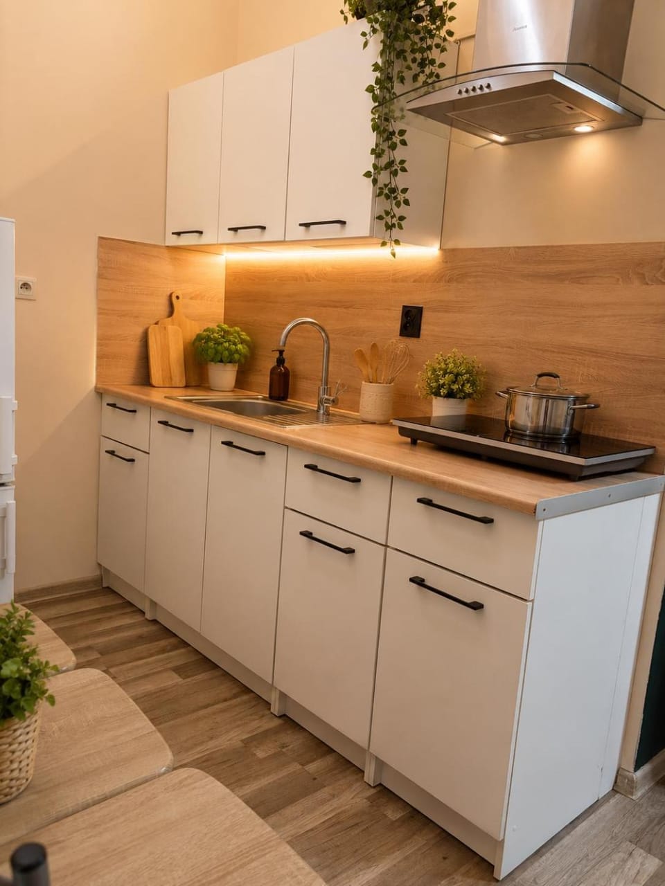 Kitchen or kitchenette, kitchen
