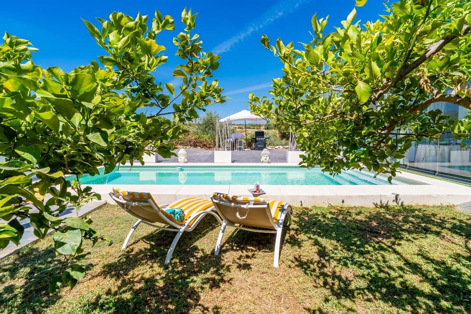 Patio, Garden, Garden view
