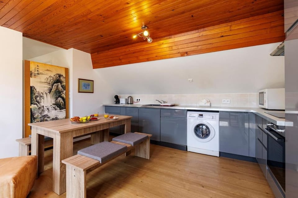 Le Nid Perché - Spacious, Quiet & Hypercentral Apartment in Haute-Savoie