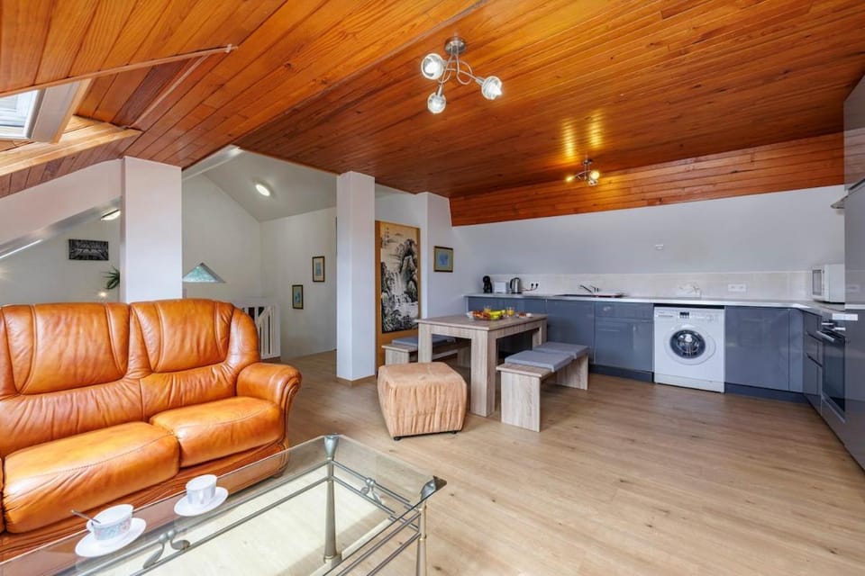 Le Nid Perché - Spacious, Quiet & Hypercentral Apartment in Haute-Savoie